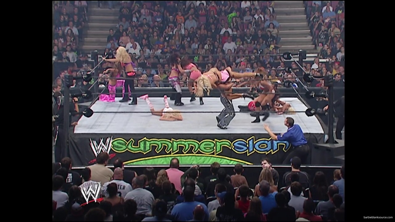 WWE_Summerslam_2007_Divas_Battle_Royal_mp40289.jpg