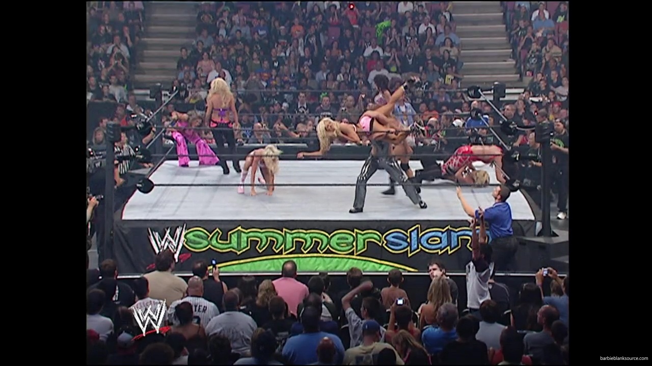 WWE_Summerslam_2007_Divas_Battle_Royal_mp40294.jpg