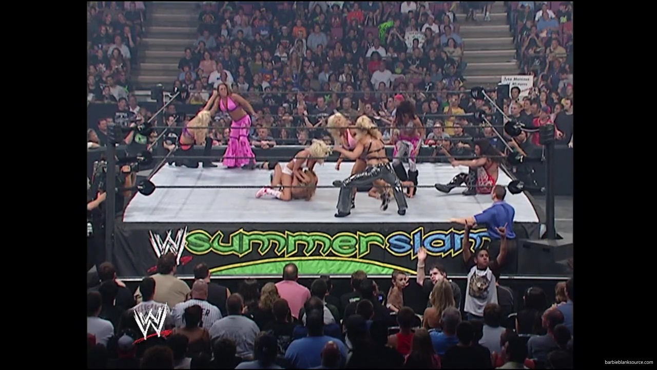 WWE_Summerslam_2007_Divas_Battle_Royal_mp40303.jpg