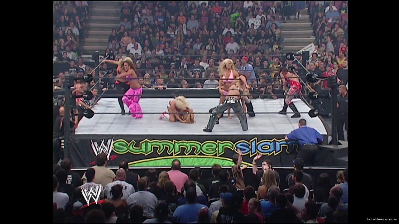 WWE_Summerslam_2007_Divas_Battle_Royal_mp40305.jpg