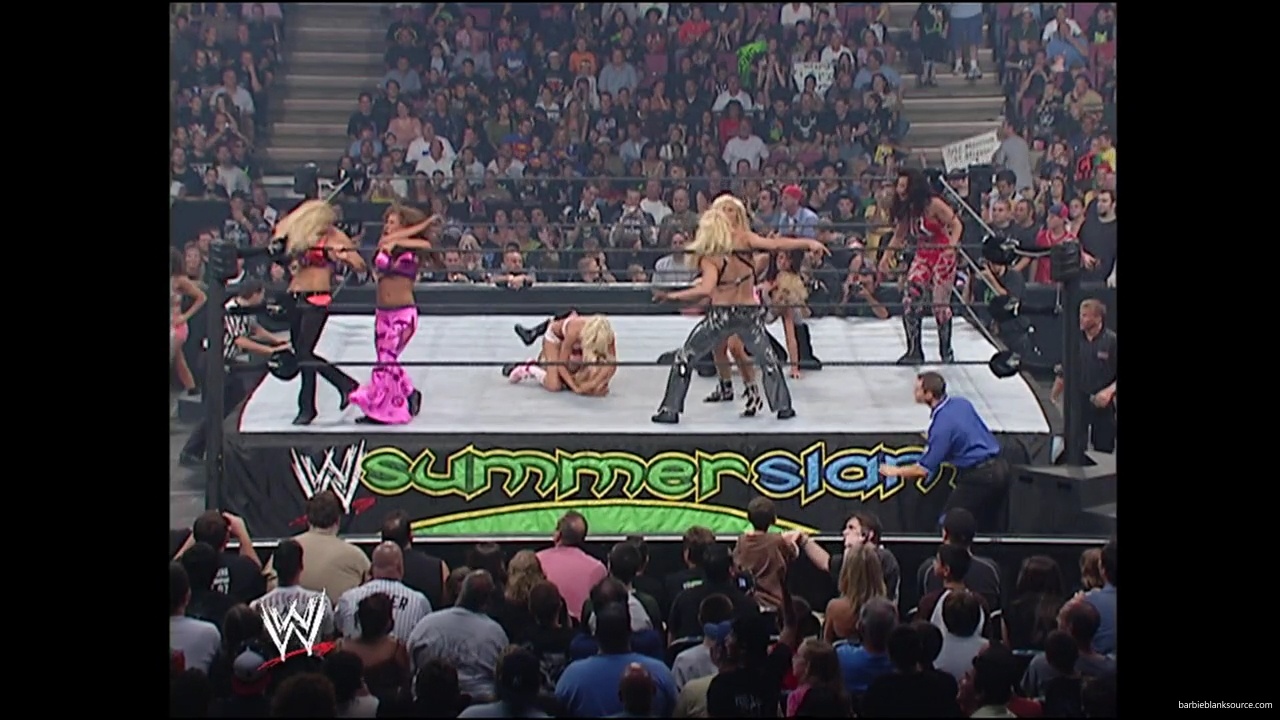 WWE_Summerslam_2007_Divas_Battle_Royal_mp40306.jpg