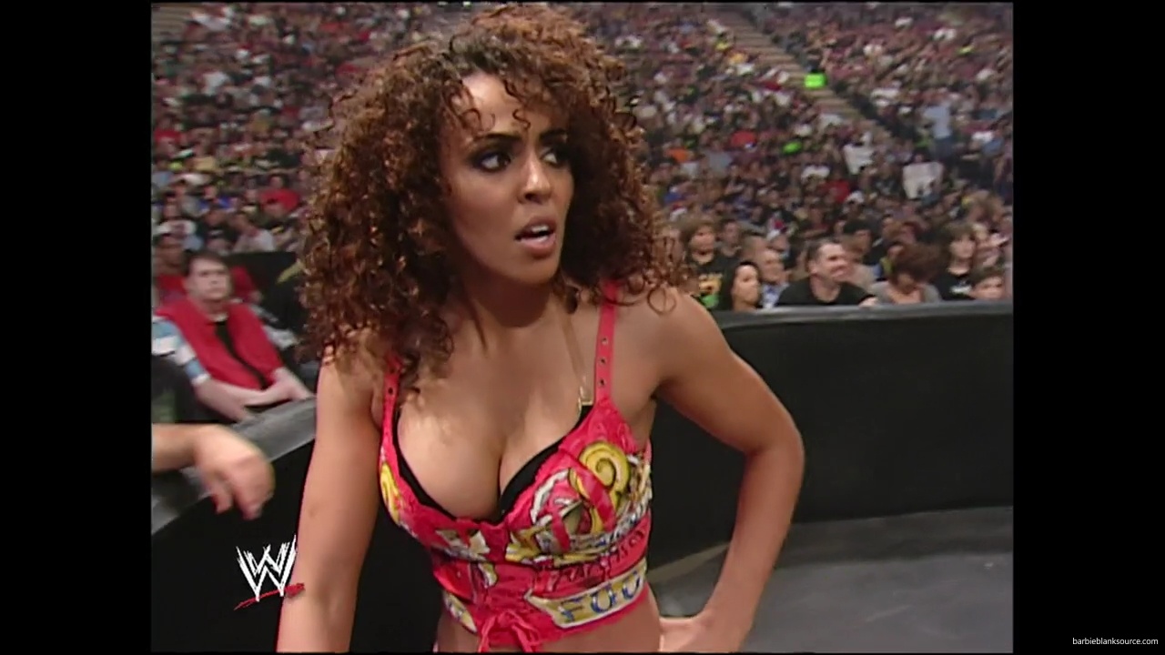 WWE_Summerslam_2007_Divas_Battle_Royal_mp40307.jpg