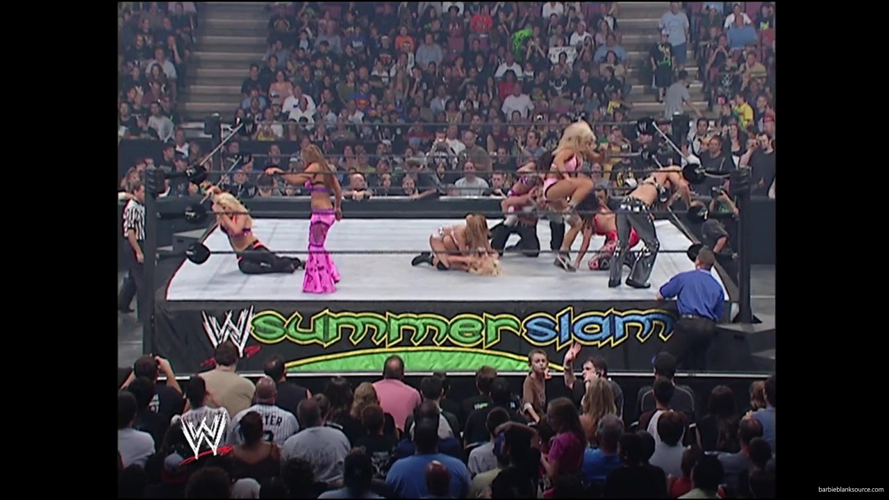 WWE_Summerslam_2007_Divas_Battle_Royal_mp40309.jpg