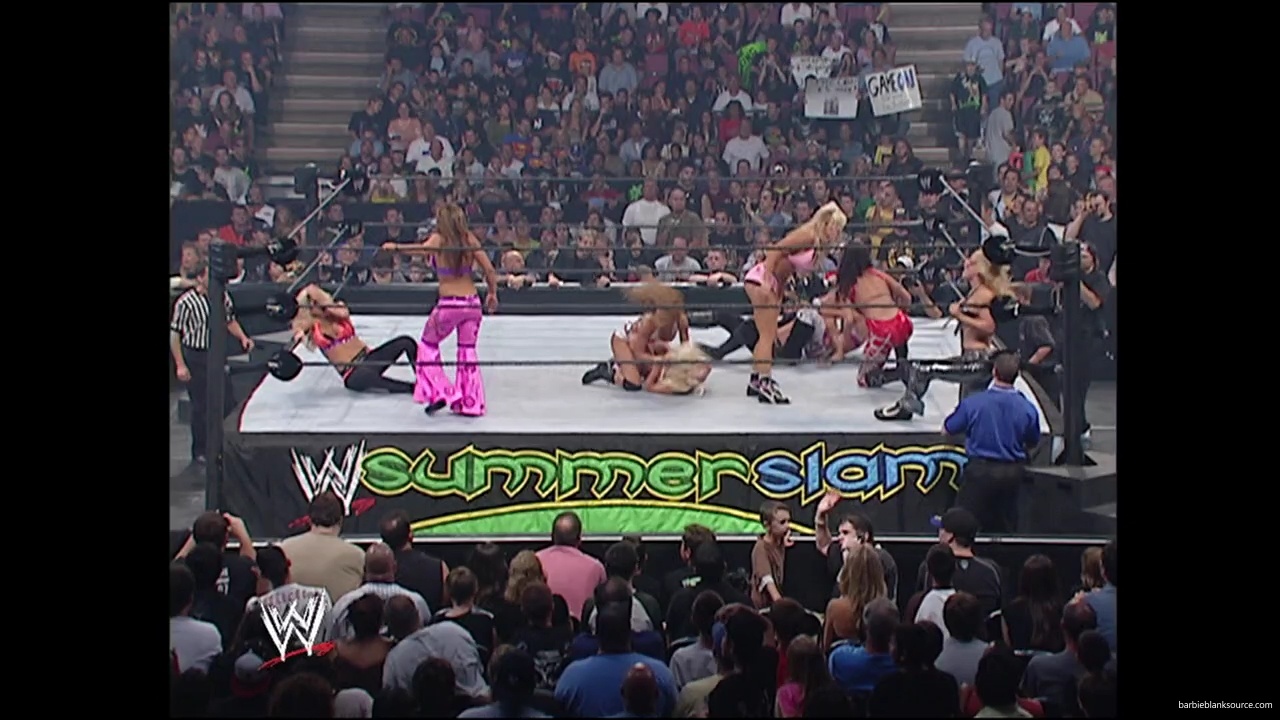 WWE_Summerslam_2007_Divas_Battle_Royal_mp40310.jpg