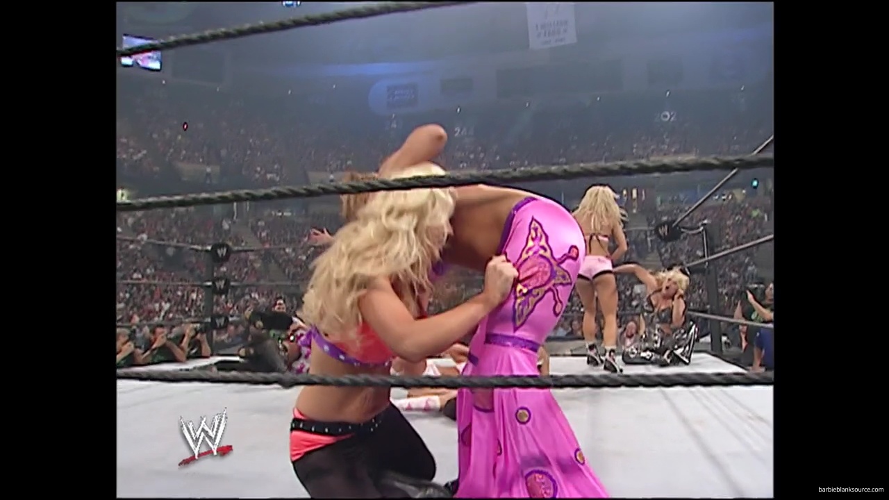 WWE_Summerslam_2007_Divas_Battle_Royal_mp40312.jpg