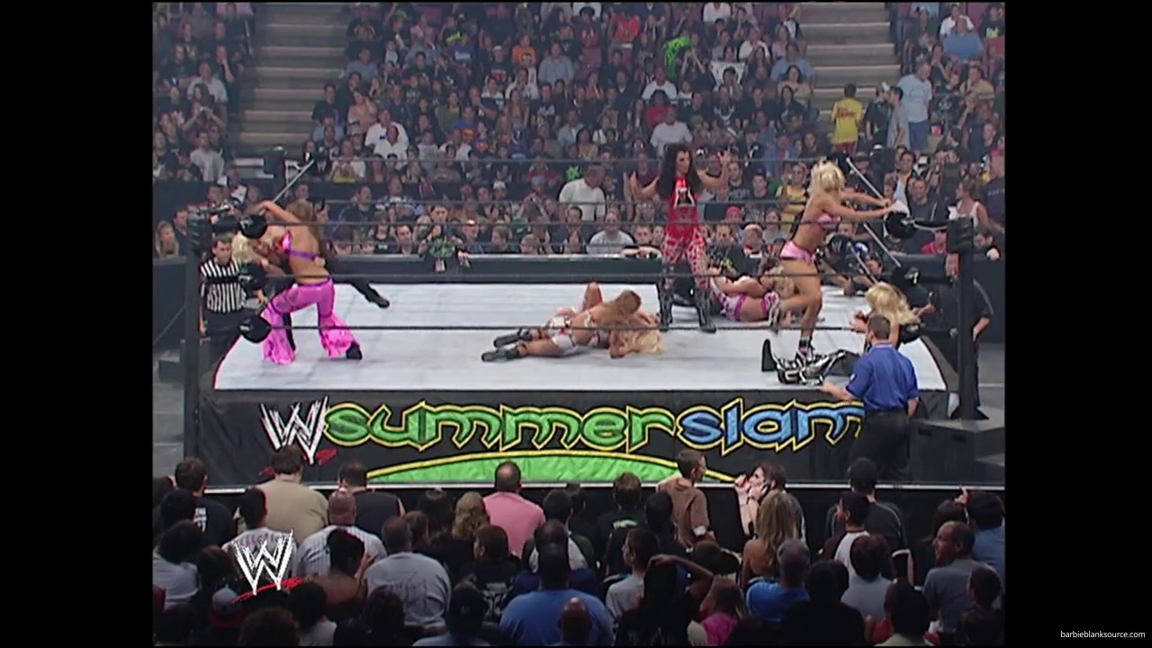 WWE_Summerslam_2007_Divas_Battle_Royal_mp40314.jpg