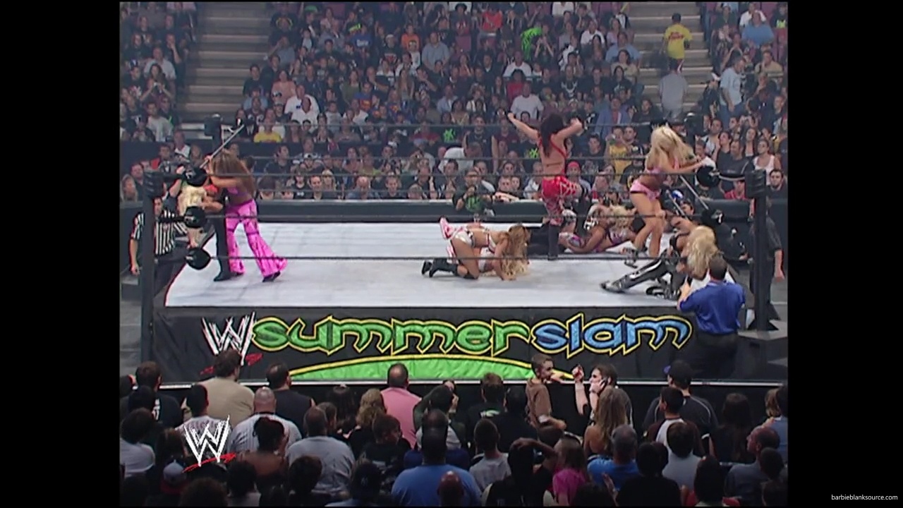 WWE_Summerslam_2007_Divas_Battle_Royal_mp40316.jpg