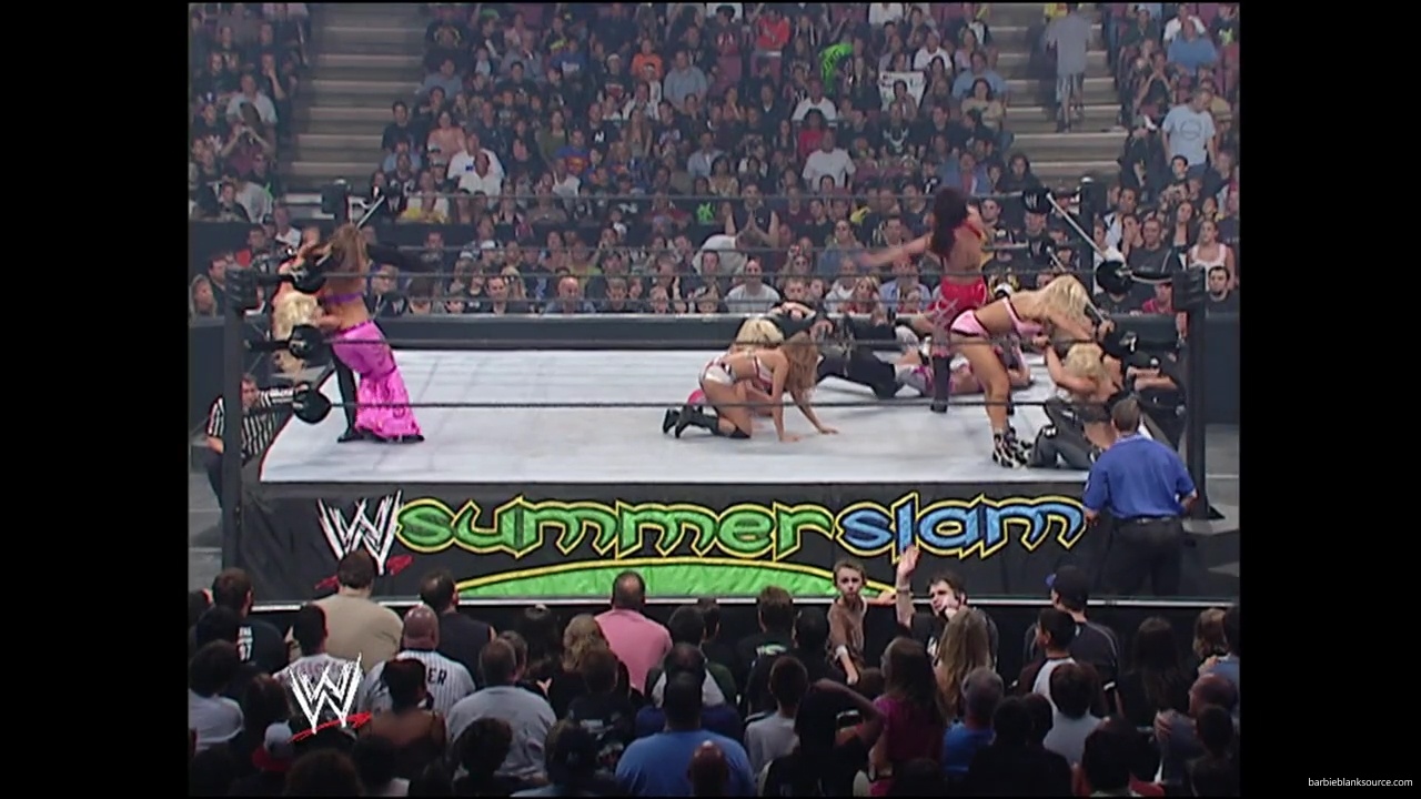 WWE_Summerslam_2007_Divas_Battle_Royal_mp40318.jpg