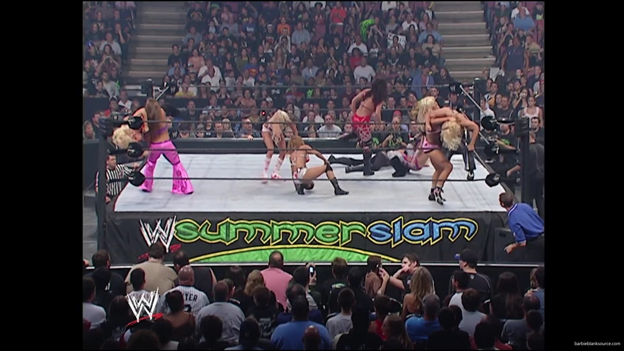 WWE_Summerslam_2007_Divas_Battle_Royal_mp40323.jpg