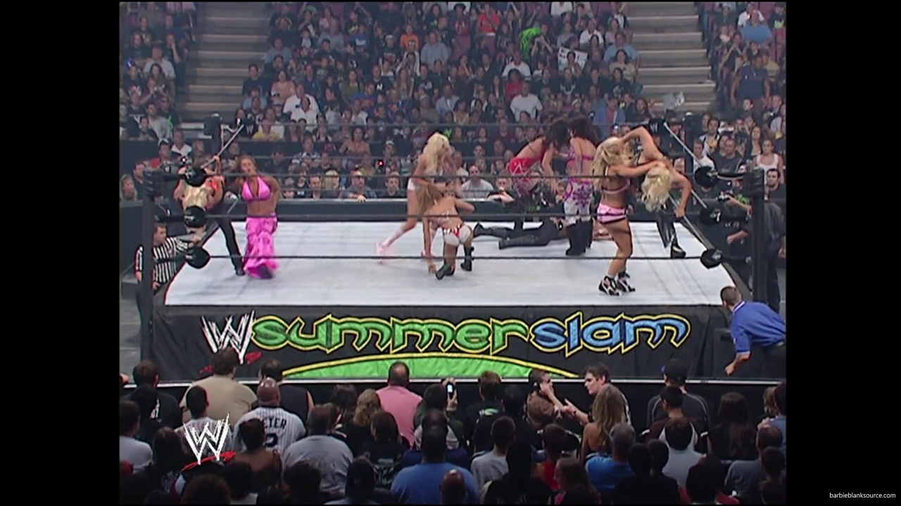 WWE_Summerslam_2007_Divas_Battle_Royal_mp40324.jpg