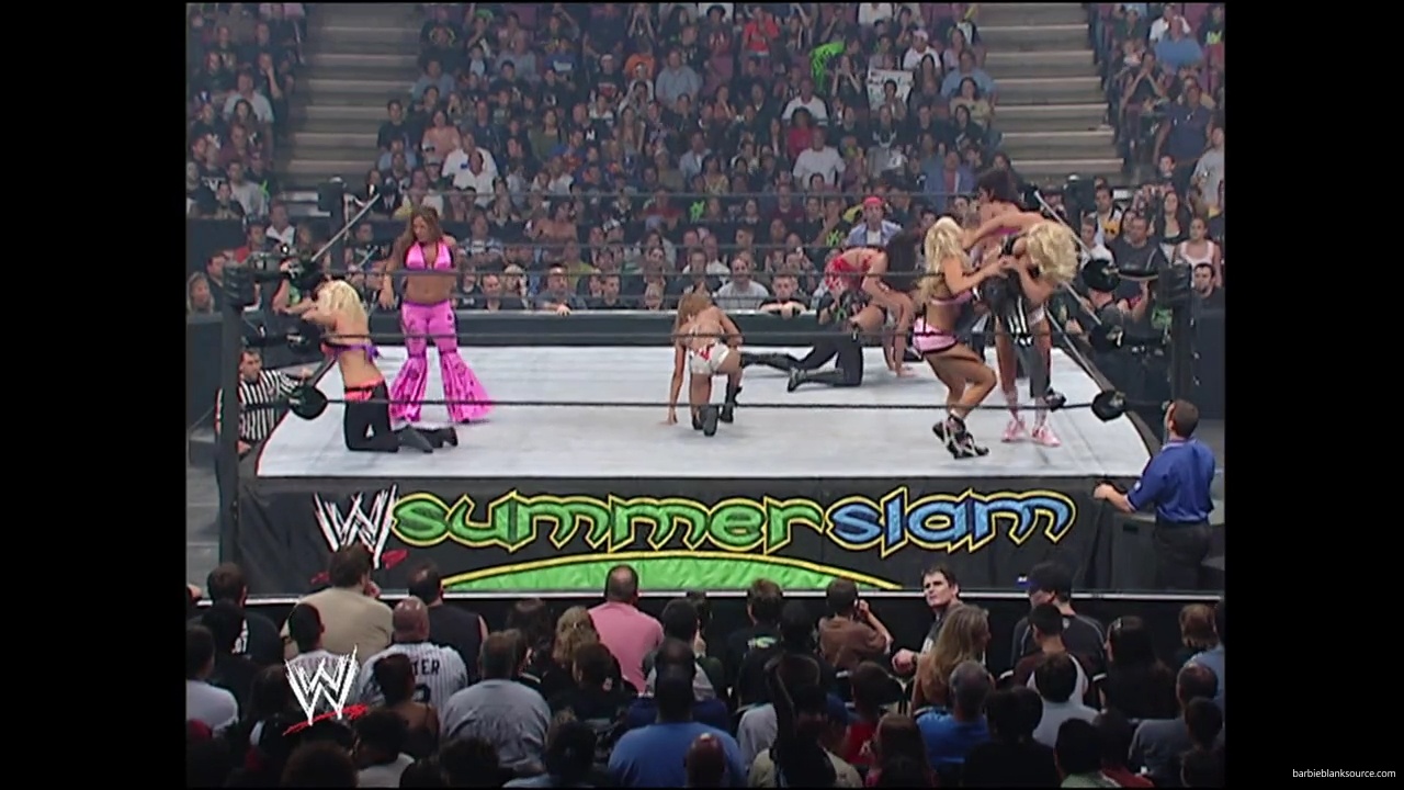 WWE_Summerslam_2007_Divas_Battle_Royal_mp40326.jpg