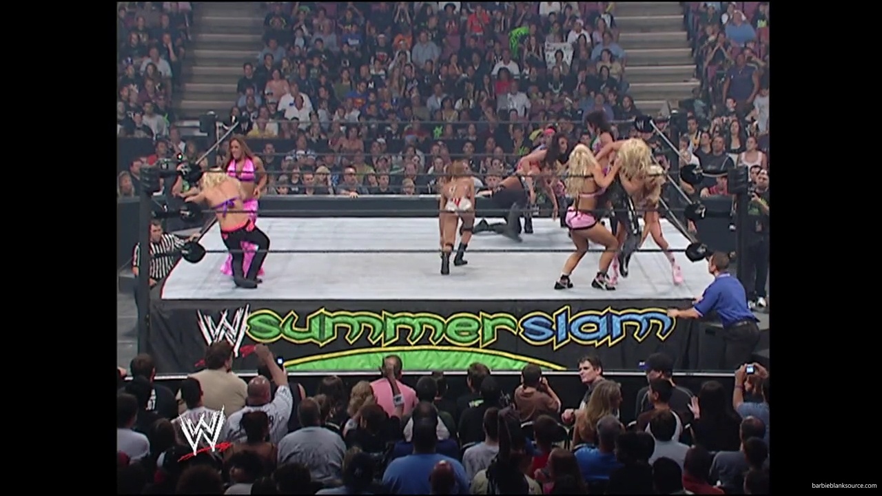 WWE_Summerslam_2007_Divas_Battle_Royal_mp40327.jpg