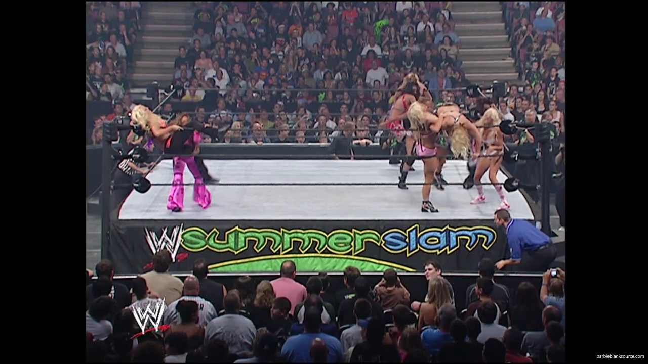 WWE_Summerslam_2007_Divas_Battle_Royal_mp40331.jpg