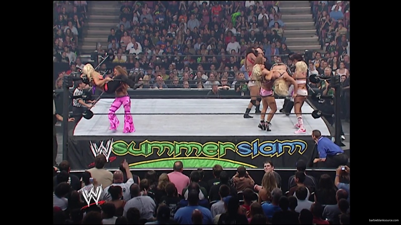 WWE_Summerslam_2007_Divas_Battle_Royal_mp40332.jpg