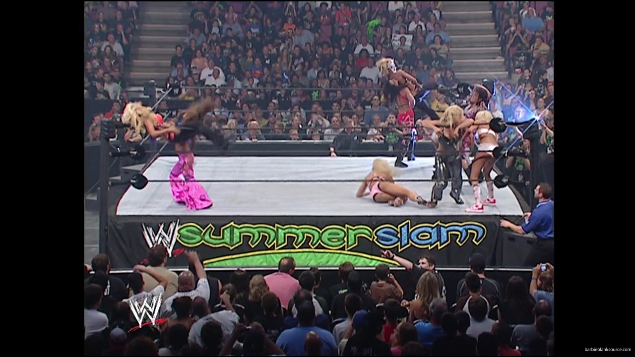 WWE_Summerslam_2007_Divas_Battle_Royal_mp40337.jpg