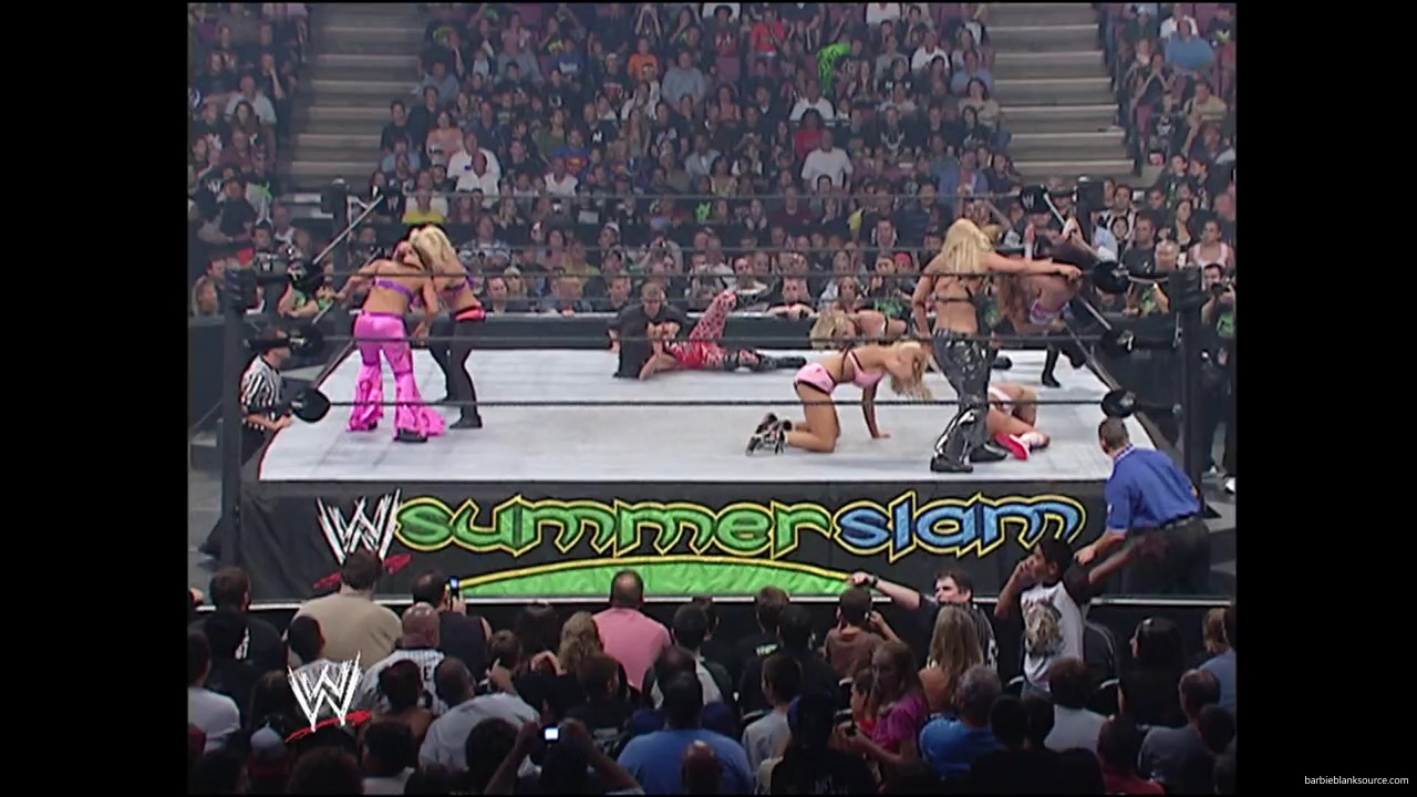 WWE_Summerslam_2007_Divas_Battle_Royal_mp40342.jpg