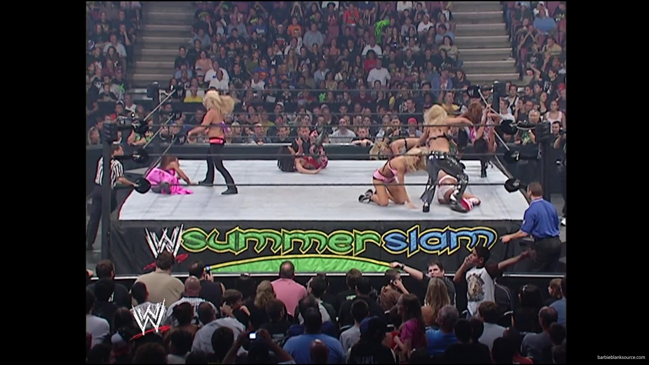 WWE_Summerslam_2007_Divas_Battle_Royal_mp40343.jpg