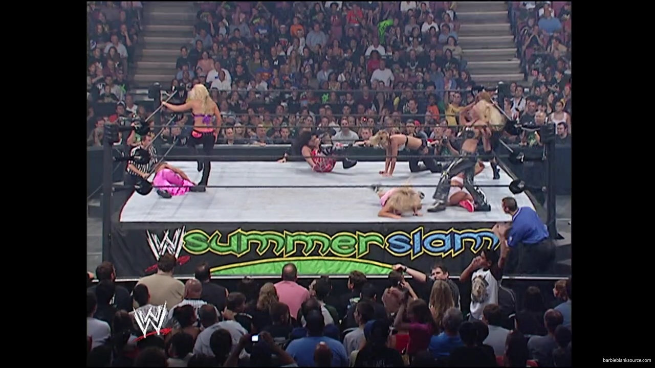 WWE_Summerslam_2007_Divas_Battle_Royal_mp40344.jpg