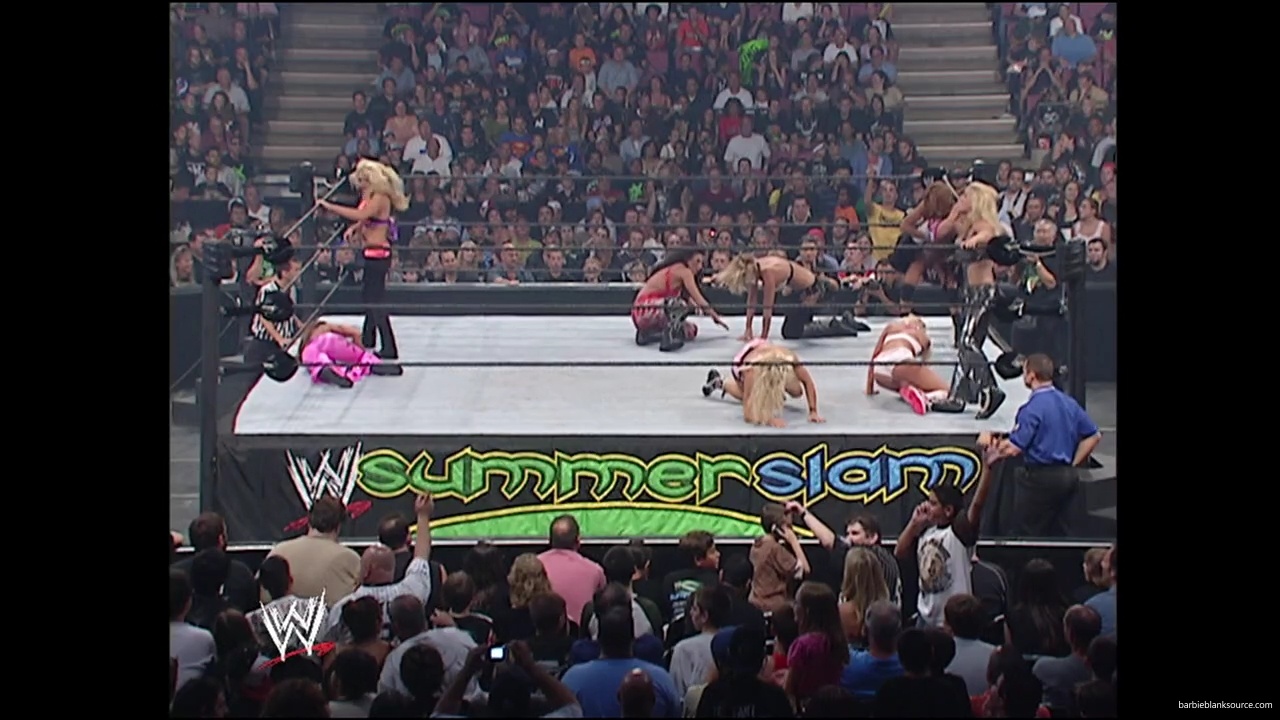 WWE_Summerslam_2007_Divas_Battle_Royal_mp40345.jpg