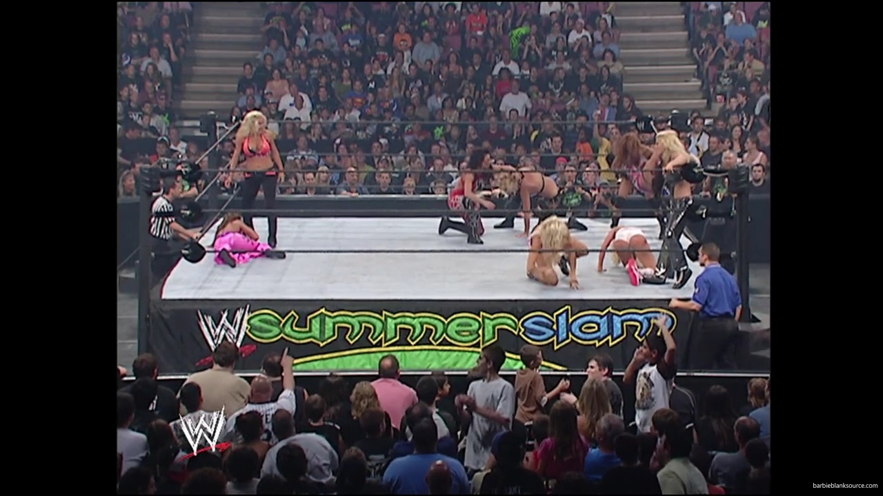 WWE_Summerslam_2007_Divas_Battle_Royal_mp40346.jpg