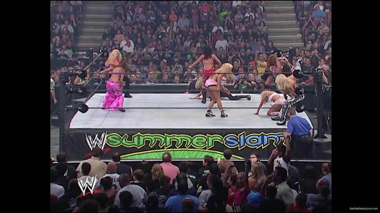 WWE_Summerslam_2007_Divas_Battle_Royal_mp40349.jpg