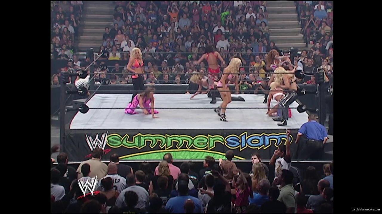 WWE_Summerslam_2007_Divas_Battle_Royal_mp40350.jpg