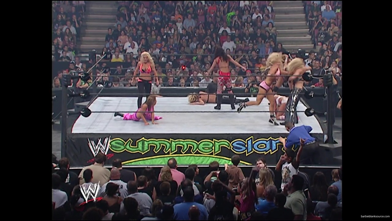 WWE_Summerslam_2007_Divas_Battle_Royal_mp40351.jpg