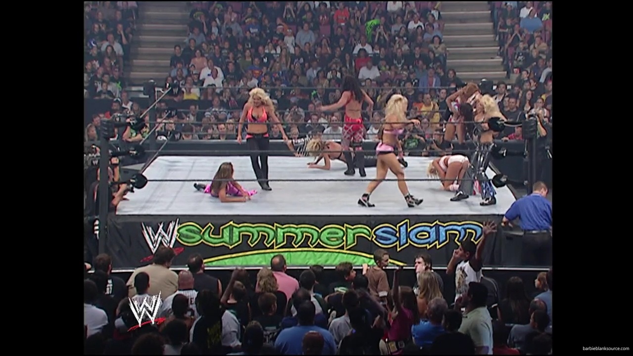 WWE_Summerslam_2007_Divas_Battle_Royal_mp40352.jpg