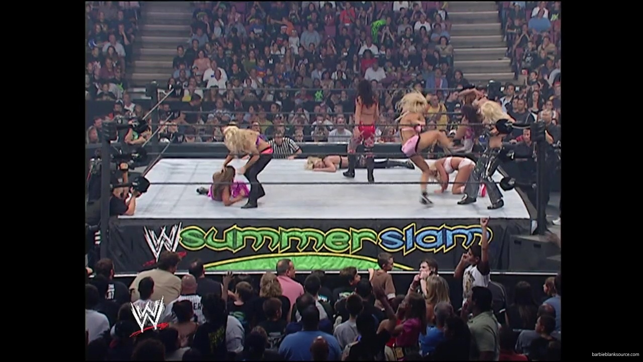 WWE_Summerslam_2007_Divas_Battle_Royal_mp40353.jpg