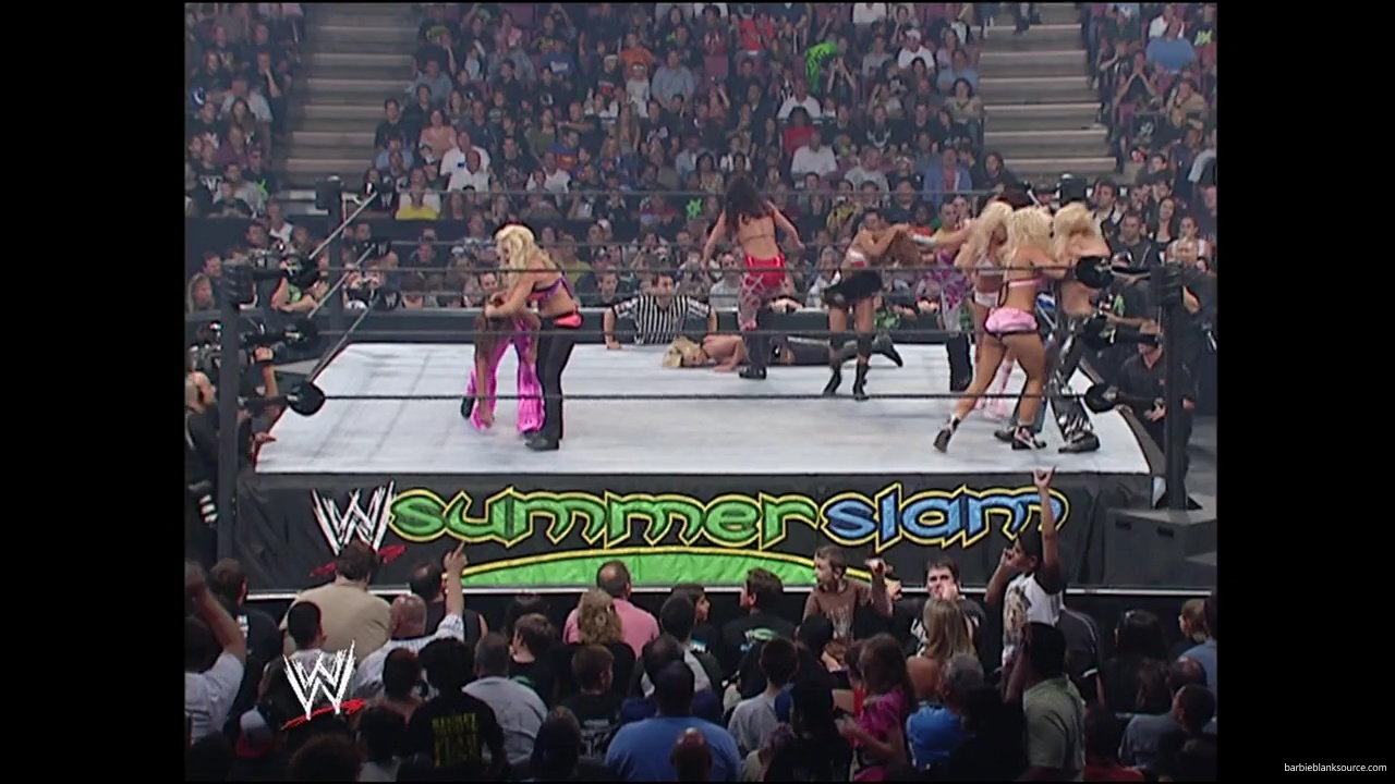 WWE_Summerslam_2007_Divas_Battle_Royal_mp40355.jpg