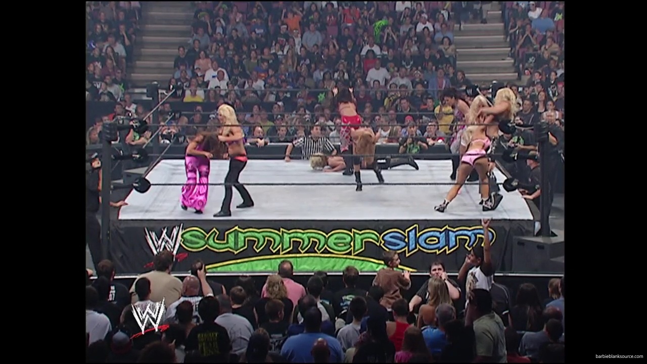 WWE_Summerslam_2007_Divas_Battle_Royal_mp40356.jpg