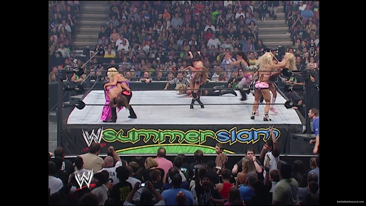 WWE_Summerslam_2007_Divas_Battle_Royal_mp40357.jpg