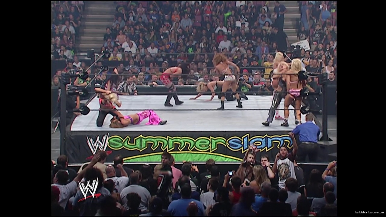 WWE_Summerslam_2007_Divas_Battle_Royal_mp40371.jpg