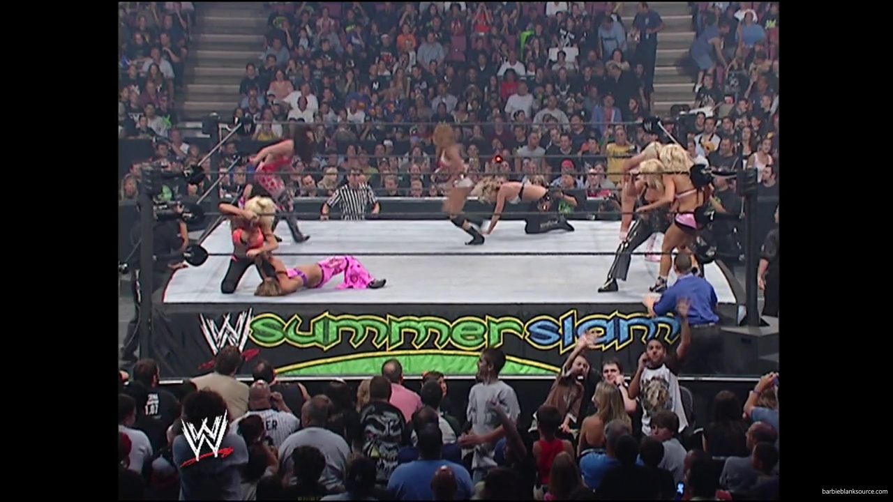 WWE_Summerslam_2007_Divas_Battle_Royal_mp40372.jpg