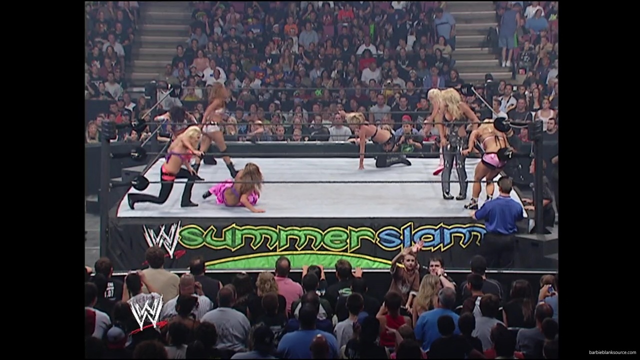 WWE_Summerslam_2007_Divas_Battle_Royal_mp40378.jpg