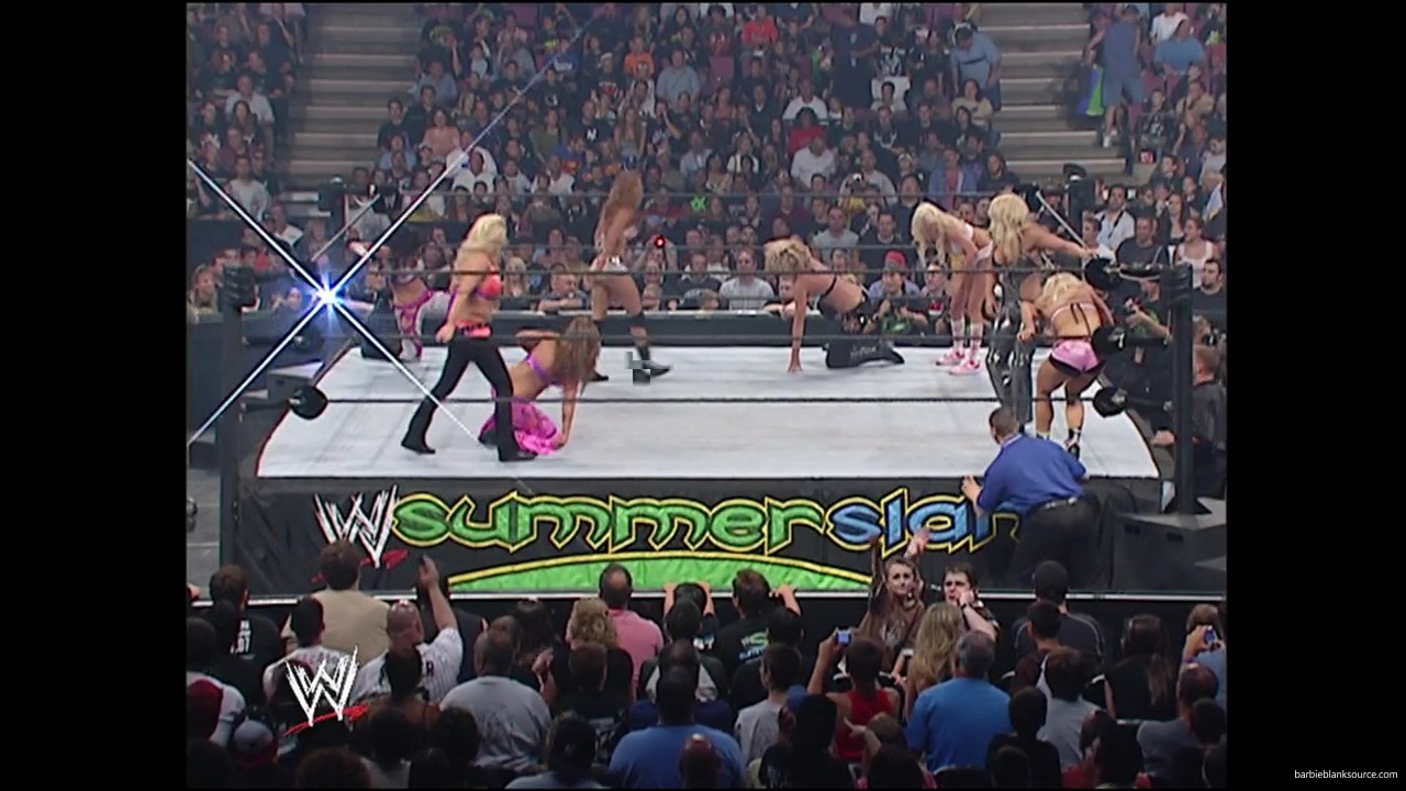 WWE_Summerslam_2007_Divas_Battle_Royal_mp40379.jpg