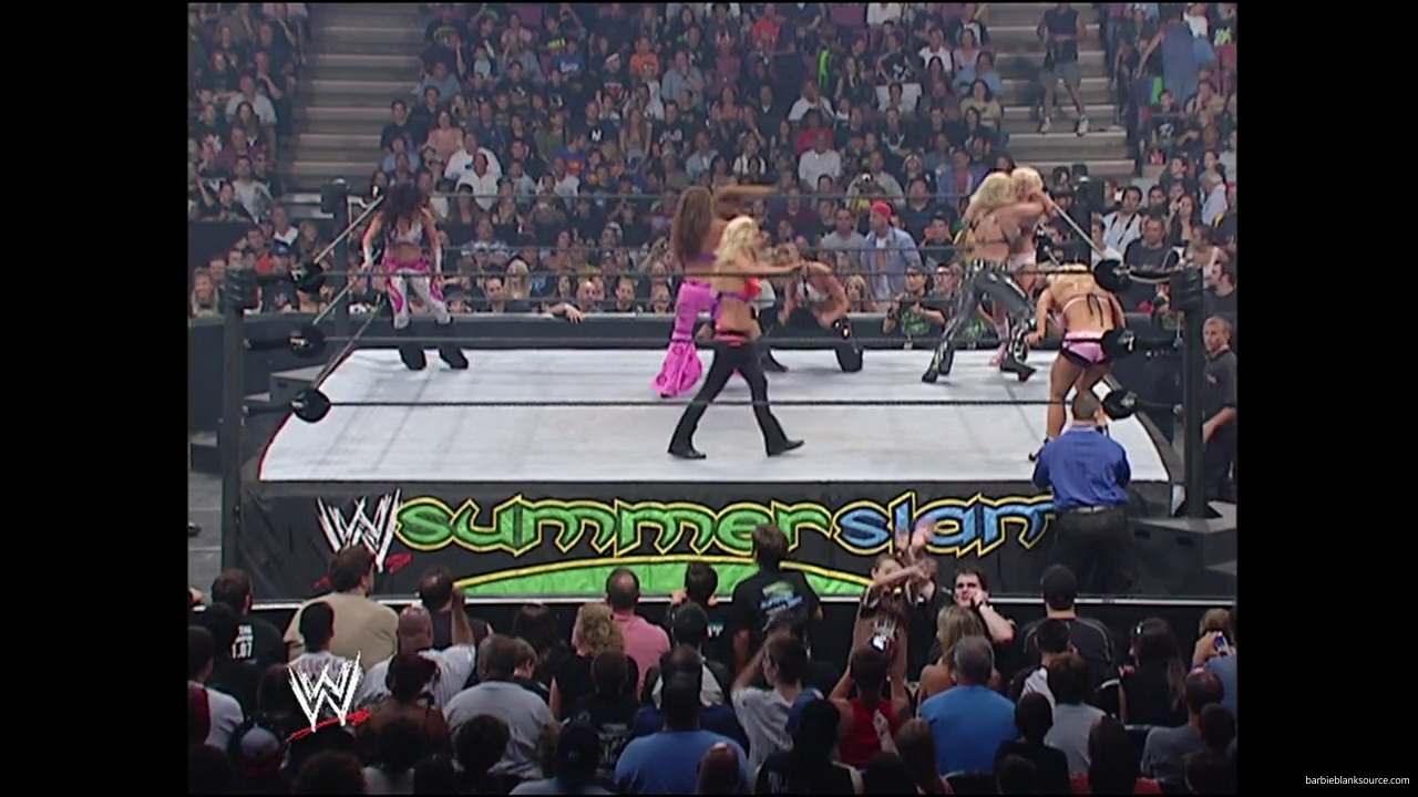 WWE_Summerslam_2007_Divas_Battle_Royal_mp40381.jpg