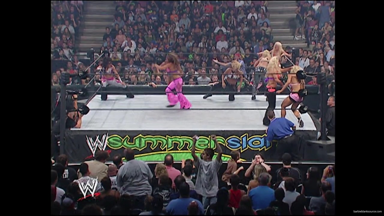 WWE_Summerslam_2007_Divas_Battle_Royal_mp40384.jpg