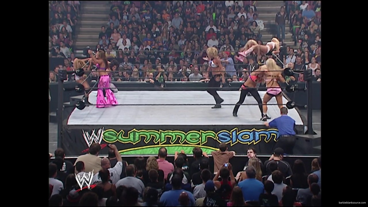 WWE_Summerslam_2007_Divas_Battle_Royal_mp40391.jpg