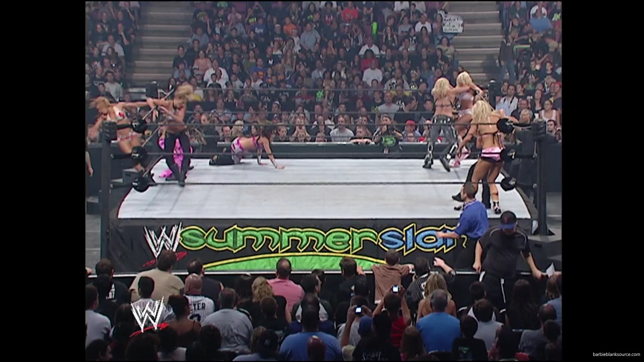 WWE_Summerslam_2007_Divas_Battle_Royal_mp40395.jpg