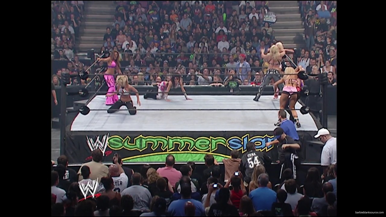 WWE_Summerslam_2007_Divas_Battle_Royal_mp40396.jpg