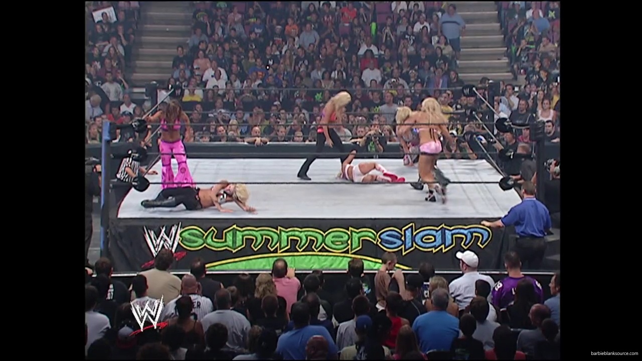 WWE_Summerslam_2007_Divas_Battle_Royal_mp40418.jpg