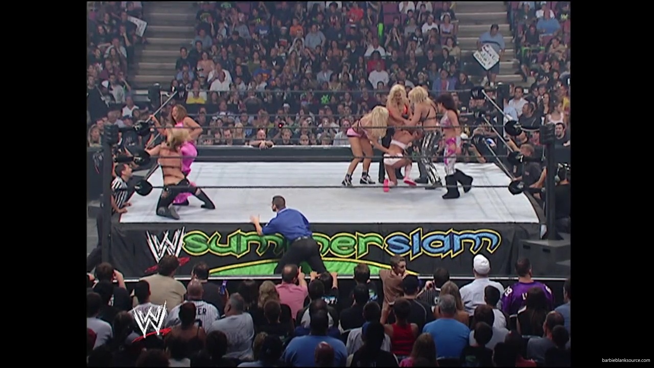 WWE_Summerslam_2007_Divas_Battle_Royal_mp40422.jpg