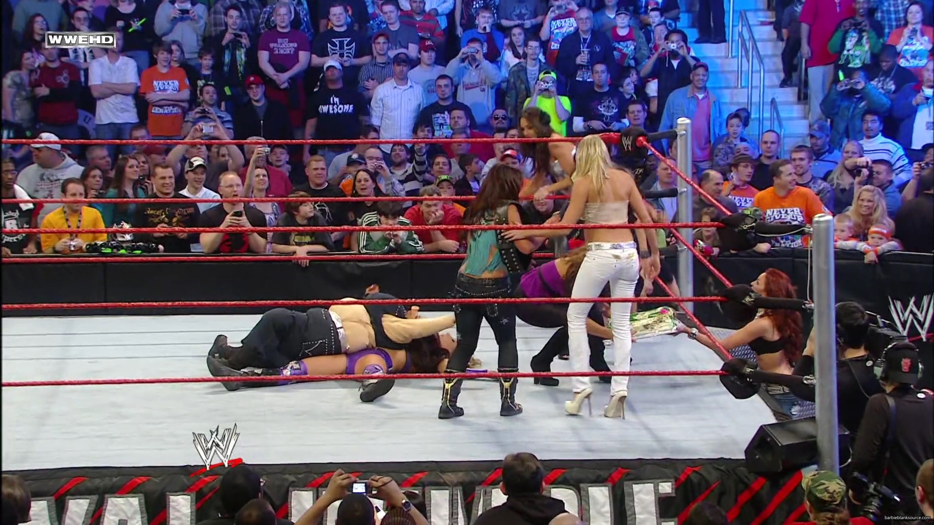 WWE_Royal_Rumble_2010_Michelle_vs_Mickie_mp40626.jpg