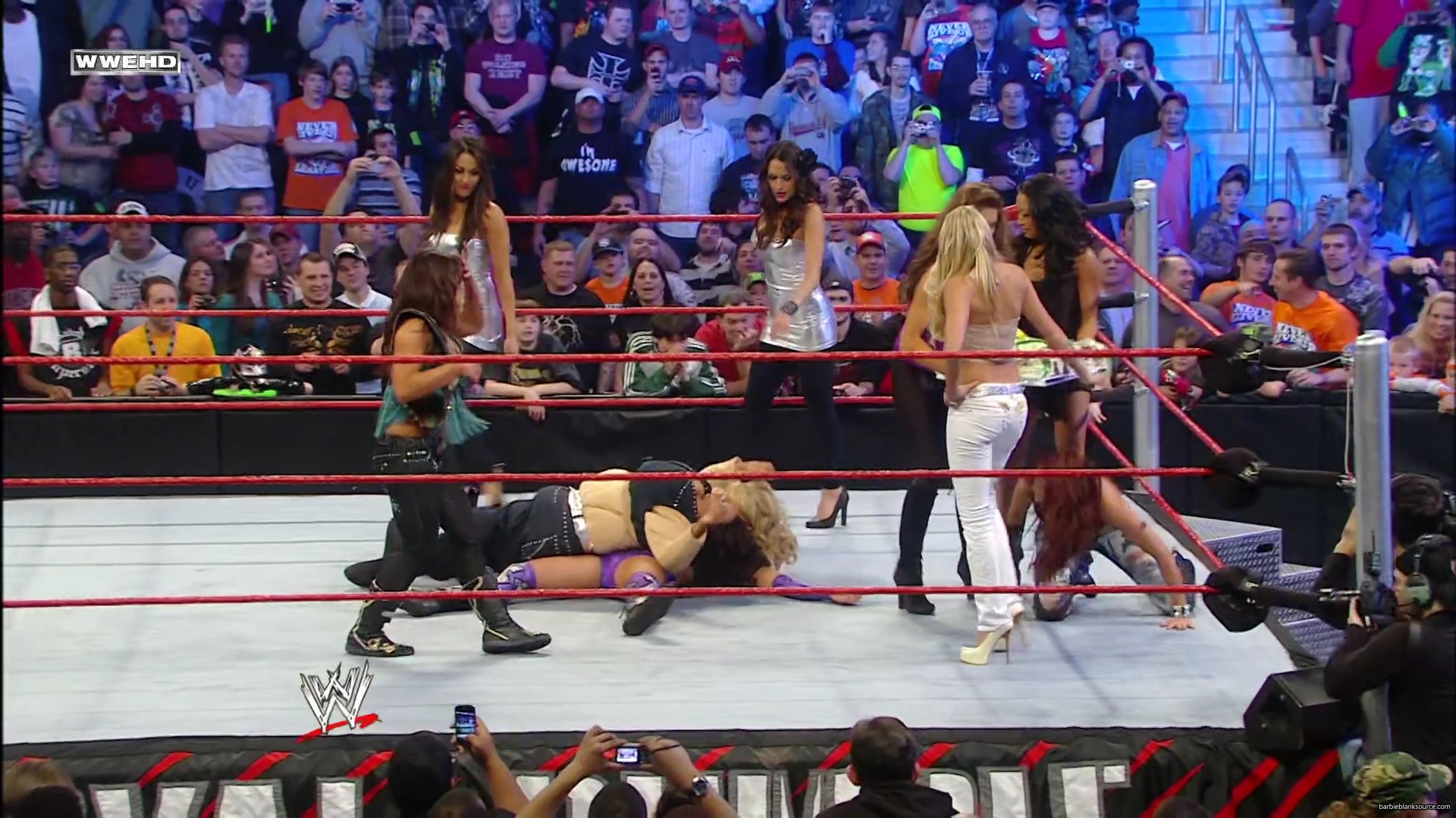 WWE_Royal_Rumble_2010_Michelle_vs_Mickie_mp40629.jpg