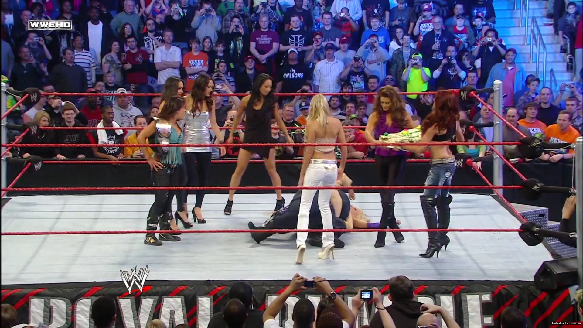 WWE_Royal_Rumble_2010_Michelle_vs_Mickie_mp40633.jpg