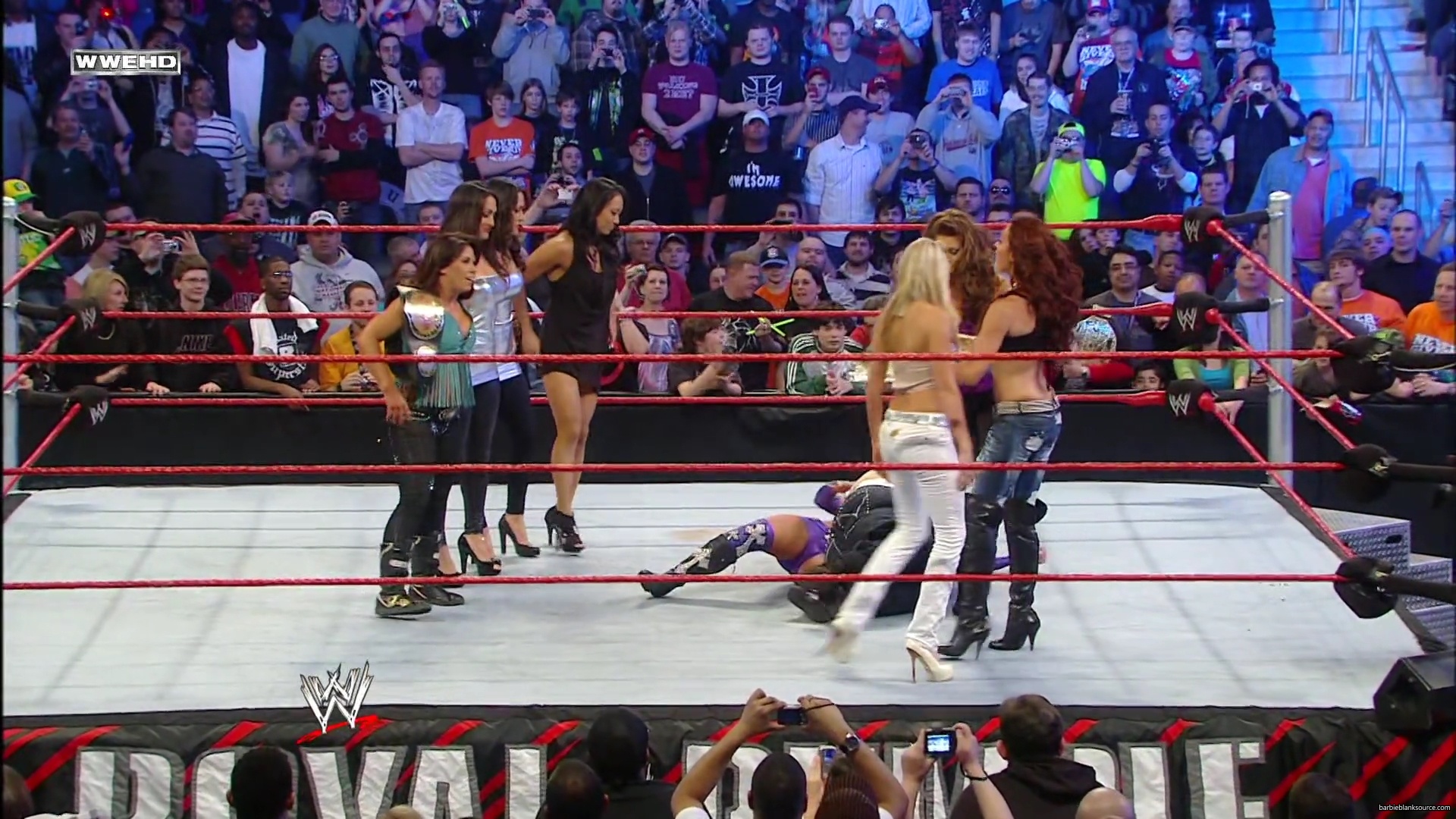 WWE_Royal_Rumble_2010_Michelle_vs_Mickie_mp40634.jpg