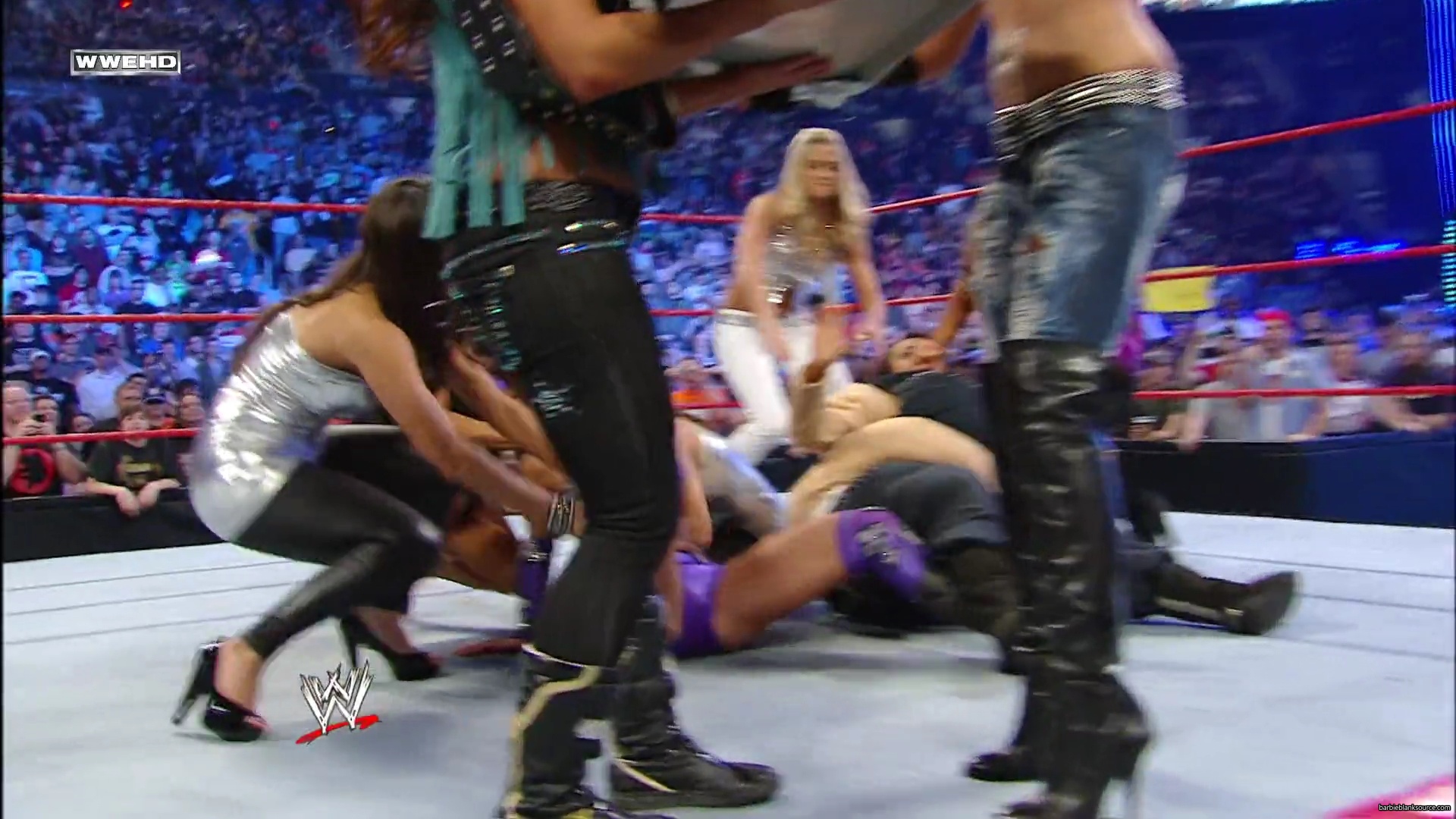 WWE_Royal_Rumble_2010_Michelle_vs_Mickie_mp40639.jpg