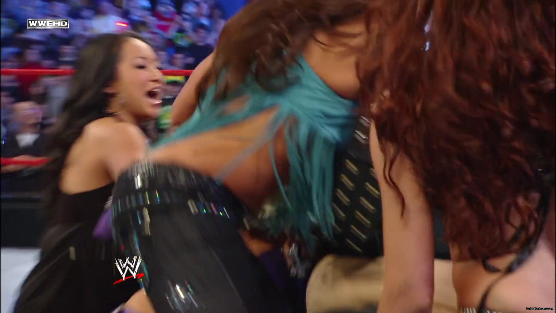 WWE_Royal_Rumble_2010_Michelle_vs_Mickie_mp40646.jpg