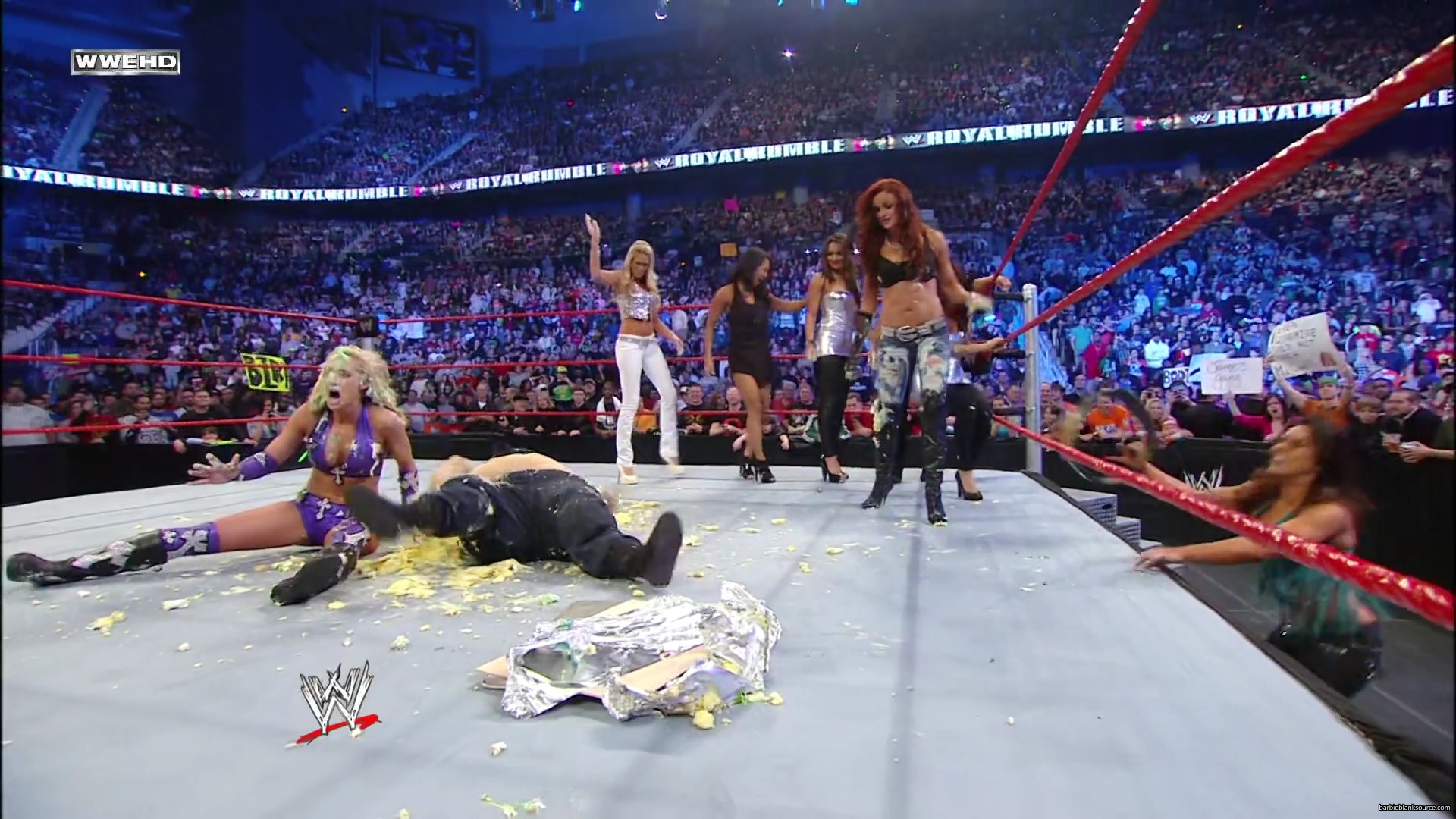 WWE_Royal_Rumble_2010_Michelle_vs_Mickie_mp40701.jpg